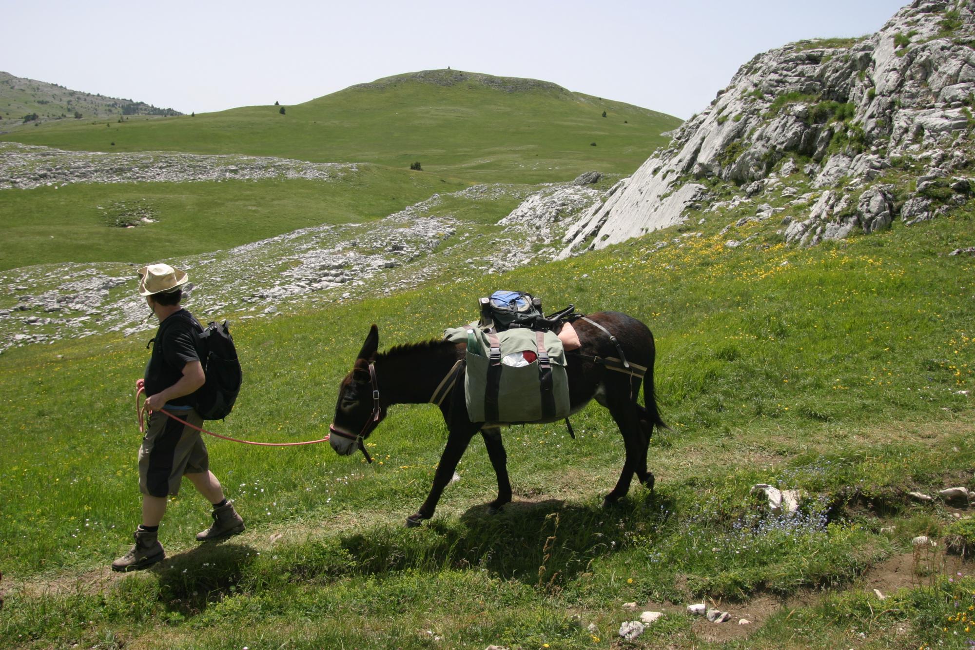 Eselwandern Eselwanderung Frankreich Zu Den Quellen Der Dr me Im Vercors
