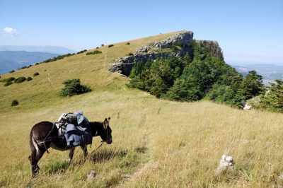 Eselwandern Frankreich Baronnies Provencales