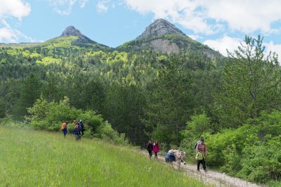 Eselwandern Frankreich Baronnies Provencales